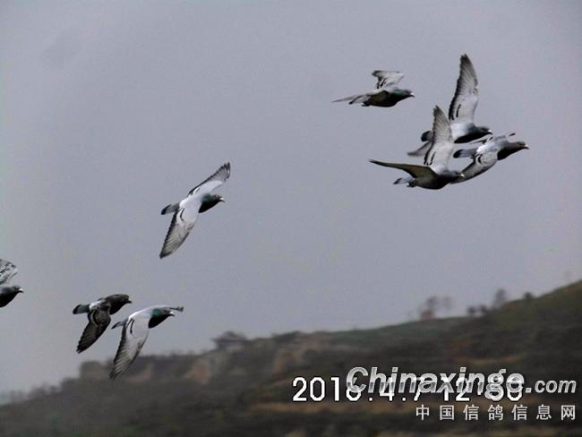 ������������������֣�