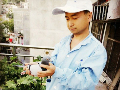 ר�ã�¤�Ͻ𻪹�������ھ���ƽ