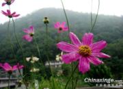 �����Դ������Ŵ����� һ�������