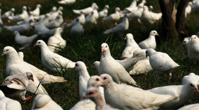 ����֮������ �������ǴӲ�����