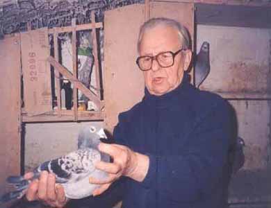 �����е�ղɭ�ֵ�