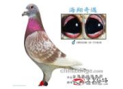 ����Ȧ�����棺���š����ۡ��ĸ��ӣ�