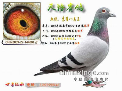 ��Ѫ���Ի� ����Բ�ζ��ڡ����Ǹ���¤����ƽ