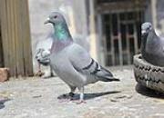 �й�̨����ѣ������ҩ�����ҩ��