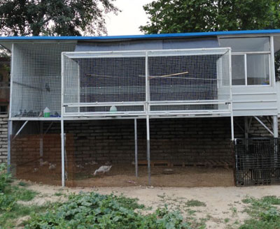 ����С���� ¥������¥������(ͼ)