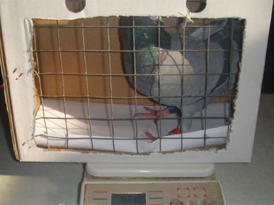 �������ؼ����ԭ��