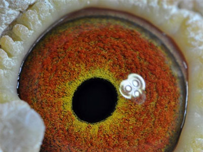 ��������(һ)