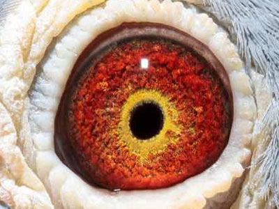 ����Ȧ���ۣ���Щ����զ����