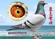 ͬһƬ��� �ɳ�������ø�