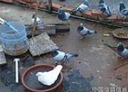 ���Ӿ�Ȼ��������ҩ �������ˣ�