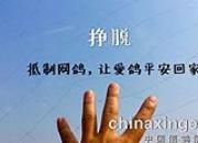 ������˵������  ����MV���ٴ�ҵ���