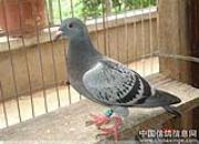 ���뾺��֮·4���رȻ�