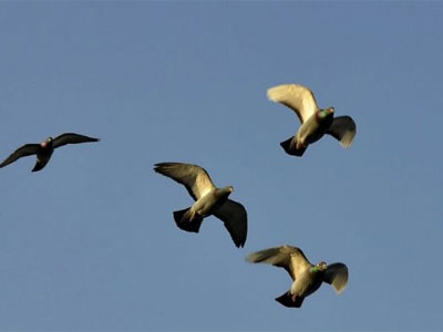 �������