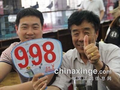 �������������Ÿ�ϲ�����𻨡�