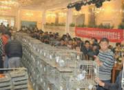 �ӱ��ϴ峬ɭ�����������������ַǷ�