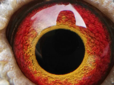 ���ۼ��ͣ��⼸�����ּ�ֵզ����