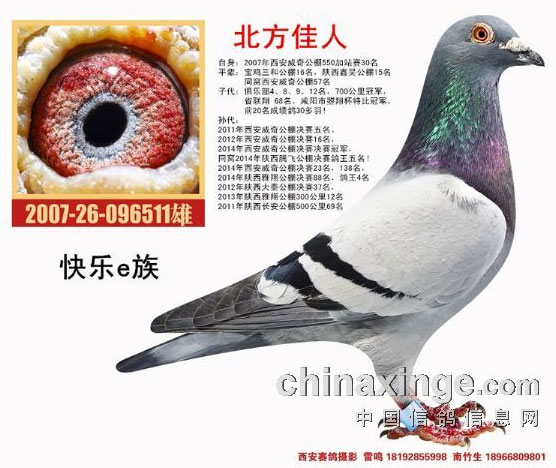 ӣ��ʱ�ڷÿ���E��������ѧ��