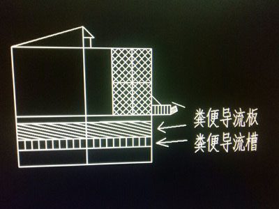 �����Ƹ���㵼��զ����