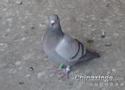 �·ܶ��ھ��������ĸ���