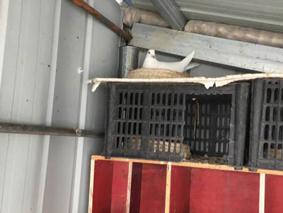 ��ʦ��������� ������Σ�