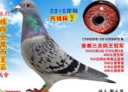 ���ļ��������ر�ӭ��������(ͼ)