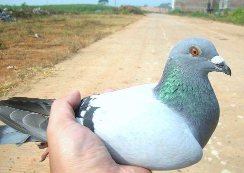 ���õĲ�һ���кý��