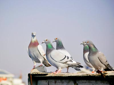 ��һ�βμ�������ϣ������