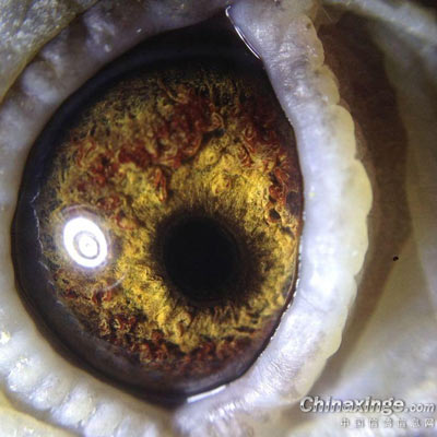 ����˵�ⲻ���������� ��զ����