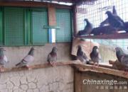 ���������Ϸֽ�������6�� ֻ��4��