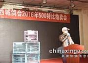 �������Ǹ��500Ԫ�����ֳ�
