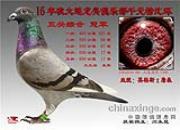 ����������ظ����� һ����ն��ڼ���