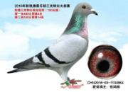 һ�ø�ɾ�һ���壺ҵ��С�����������ھ�