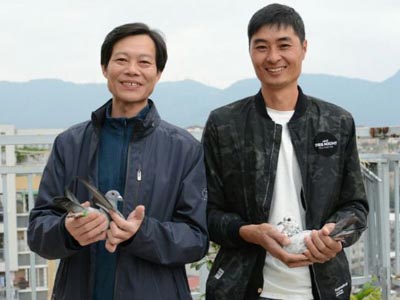 ʮ��ĥһ�� ����Ծ��䣺ר�ø������ݸ���