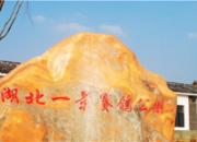 2016����һ�����人���������벩����