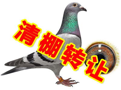 ������ע��α������ת�á�