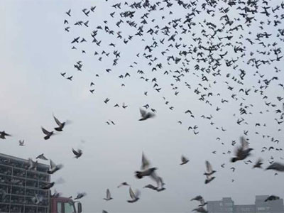 �ۻ�˳�Ծ����и� ��ʫһ��