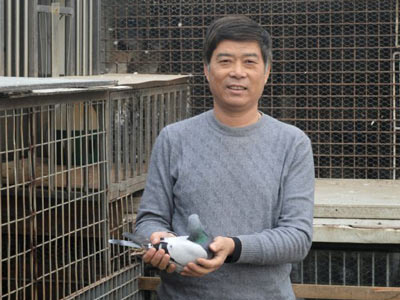 ��н���ѵ�Ͷ��߻ر�