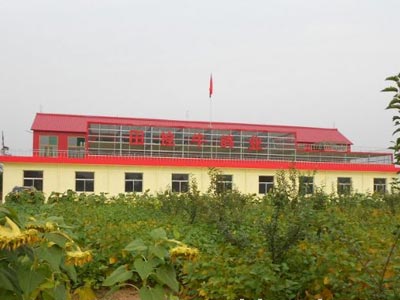 ɽ���Ÿ�����֡�����˩ţ��ҵ(ͼ)