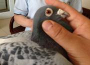 �ɹ����� ����Ҫ���������㡱