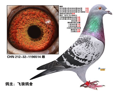 ���ý��������w�Ǹ����컪