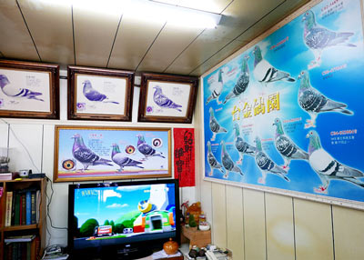 ר���й�̨�������죺10������Ψһ�鳲����(ͼ)