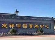廊坊友祥津福公棚拍卖会 前十名欣赏