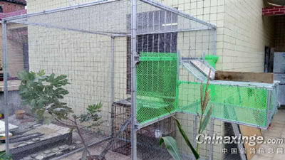 �Լ���ĥ�����ӵĸ�����