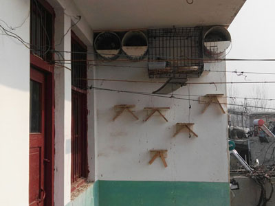 ��ָ������̨����ν�����