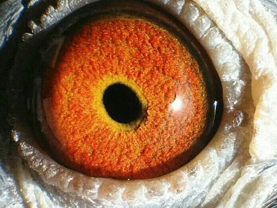 ��ʱ�ڼ��ֻ��ĸ���(ͼ)