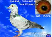�ٴμ�֤����Ҳ�ܷ�