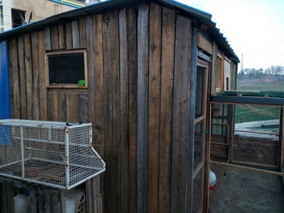 ���Ƹ��� ���Ŷ�����С������