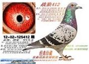 �ָ������ڼ����������ڵı���