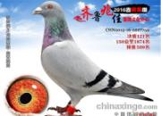 һ�ƶ�����ͺ�������