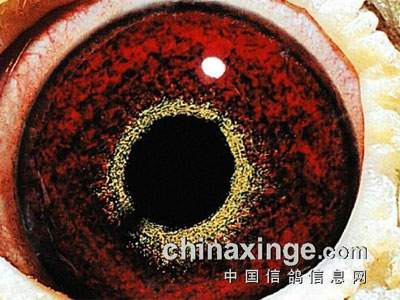 ����̽�֣���������֮��